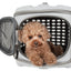Pet Life ® 'Circular Shelled' Perforated Lightweight Collapsible Military Grade Travel Pet Dog Carrier