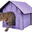 Pet Life ® 'Collapsi-Pad' Folding Lightweight Travel Pet House with inner Mat