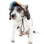 Pet Life ®  'Colorfur' Floral UV Protectant Adjustable Fashion Dog Hat Cap