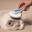 Pet Life ® 'Concepto' Modern Bristle Grooming Pet Deshedder Comb