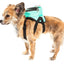 Pet Life ® 'Dumbone' Dual-Pocketed Animated Fashion Dog Harness Backpack