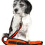Pet Life ® 'Echelon' Hands Free and Convertible 2-In-1 Training Pet Dog Leash and Pet Belt Trainer