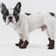 Pet Life ® Elastic Protective Multi-Usage All-Terrain Rubberized Dog Shoes - Set of 4