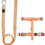 Pet Life ® 'Escapade' Outdoor Series 2-in-1 Convertible Dog Leash and Harness