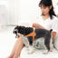 Pet Life ® 'Ever-Craft' Boutique Series Adjustable Designer Leather Dog Harness