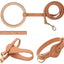 Pet Life ® 'Ever-Craft' Boutique Series Beechwood and Leather Designer Dog Leash