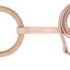 Pet Life ® 'Ever-Craft' Boutique Series Beechwood and Leather Designer Dog Leash