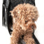 Pet Life ® Exquisite Airline Approved Designer Travel Pet Dog Handbag Carrier
