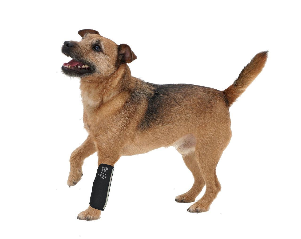 Pet Life ® 'Extreme-Neoprene' Joint Protective Safety Recovery and Reflective Pet Dog Sleeves - Set of 4