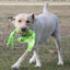 Pet Life ® 'Extreme Twist' Sporty Tugging Jute and Squeak Dog Toy