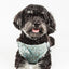 Pet Life ®  'Fidomite' Mesh Reversed  and Adjustable Fashion Dog Harness W/ Designer Bowtie