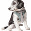 Pet Life ®  'Fidomite' Mesh Reversed and Adjustable Fashion Dog Harness W/ Designer Neck Tie