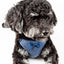 Pet Life ®  'Flam-Bowyant' Mesh Reversed and Adjustable Dog Harness