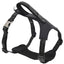 Pet Life ® 'Geo-prene' 2-in-1 Shock Absorbing Neoprene Padded Reflective Dog Leash and Harness
