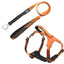 Pet Life ® 'Geo-prene' 2-in-1 Shock Absorbing Neoprene Padded Reflective Dog Leash and Harness