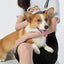 Pet Life ® 'Gyrater' Travel Swivel Pet Grooming Pin Brush