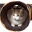 Pet Life ® 'Kitting-Go-Seek' Collapsible Folding Travel 3-way Kitty Cat Tunnel