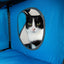 Pet Life ® 'Kitty-Play' Collapsible Travel Interactive Kitty Cat Tree Maze House Lounger Tunnel Lounge