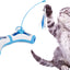 Pet Life ® 'Kitty-Tease' Interactive Teaser Kitty Cat Puzzle Toy