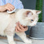 Pet Life ® 'Knuckler' Handheld Travel Flexible Grooming Pet Rake Comb