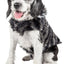 Pet Life ®  Luxe 'Chauffurry' Zebra Patterned Designer Mink Fur Dog Coat