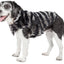 Pet Life ®  Luxe 'Chauffurry' Zebra Patterned Designer Mink Fur Dog Coat