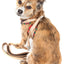 Pet Life ® Luxe 'Dapperbone' 2-In-1 Adjustable Fashion Dog Harness and Leash