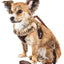 Pet Life ® Luxe 'Furracious' 2-In-1 Adjustable Dog Harness and Leash with Detachable Fur Collar