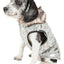 Pet Life ® Luxe 'Gold-Wagger' Gold-Leaf Fashion Designer Fur Dog Coat