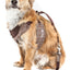 Pet Life ®  Luxe 'Houndsome' 2-In-1 Adjustable Designer Dog Harness and Leash