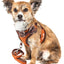Pet Life ® Luxe 'Pawsh' 2-In-1 Adjustable Fashion Dog Harness and Leash