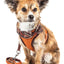 Pet Life ® Luxe 'Pawsh' 2-In-1 Adjustable Fashion Dog Harness and Leash