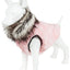 Pet Life ®  Luxe 'Pinkachew' Charming Fashion Mink Fur Dog Coat