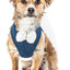 Pet Life ® Luxe 'Pom Draper' 2-In-1 Adjustable Fashion Dog Harness and Leash