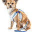 Pet Life ® Luxe 'Spawling' 2-In-1 Adjustable Fashion Dog Harness and Leash