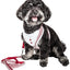 Pet Life ® Luxe 'Spawling' 2-In-1 Adjustable Fashion Dog Harness and Leash