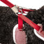Pet Life ® Luxe 'Spawling' 2-In-1 Adjustable Fashion Dog Harness and Leash