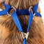 Pet Life ® Luxe 'Spawling' 2-In-1 Adjustable Fashion Dog Harness and Leash