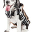 Pet Life ®  Luxe 'Tigerbone' Tiger-Patterned Mink Fashion Fur Dog Jacket