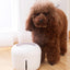 Pet Life ® 'Moda-Pure' Ultra-Quite Filtered Dog and Cat Fountain Waterer