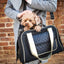 Pet Life ® Mystique Airline Approved Fashion Designer Travel Pet Dog Carrier w/ Pouch
