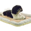 Pet Life ® 'Neutral Carpentry' Fashion Designer Nano-Silver Anit-Bacterial Pet Dog Bed Lounge