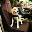 Pet Life ® 'Open Road' Single Seated Safety Child Pet Cat Dog Car Seat Carseat Cover Protector