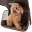 Pet Life ® Paw Patterned Airline Approved Zippered Folding Collapsible Travel Pet Dog Carrier