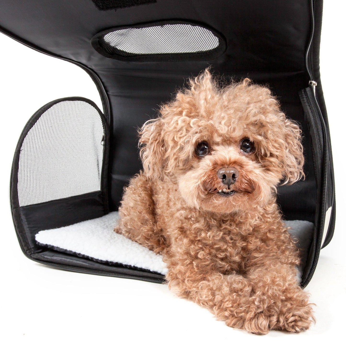 Pet Life ® Paw Patterned Airline Approved Zippered Folding Collapsible Travel Pet Dog Carrier
