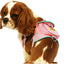 Pet Life ® 'Pocket Bark' Reflective Adjustable Fashion Pet Dog Harness w/ Hook-and-Loop Pouch and Dual Harness Rings
