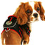 Pet Life ® 'Pocket Bark' Reflective Adjustable Fashion Pet Dog Harness w/ Hook-and-Loop Pouch and Dual Harness Rings