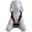 Pet Life ® 'Pocket Bark' Reflective Adjustable Fashion Pet Dog Harness w/ Hook-and-Loop Pouch and Dual Harness Rings