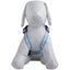Pet Life ® 'Pocket Bark' Reflective Adjustable Fashion Pet Dog Harness w/ Hook-and-Loop Pouch and Dual Harness Rings