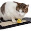 Pet Life ® 'Scrape-Away' Sisal and Jute Hanging Carpet Cat Scratcher Toy